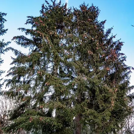 Perlitz Apartment Petersdorf (Oder-Spree)