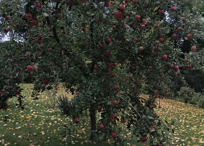 Lägenhet Perlitz Petersdorf (Oder-Spree)